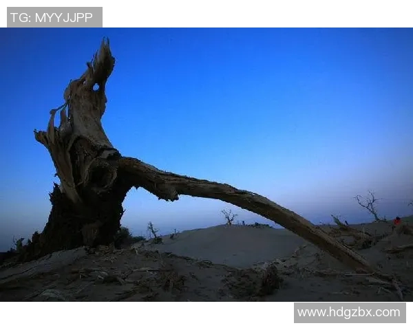 姚明在逆境中重拾信心的狼狈时刻与不屈精神的励志故事