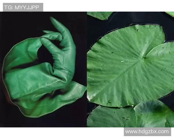 中性笔与足球明星的奇妙结合探秘创意文具的运动魅力与灵感来源